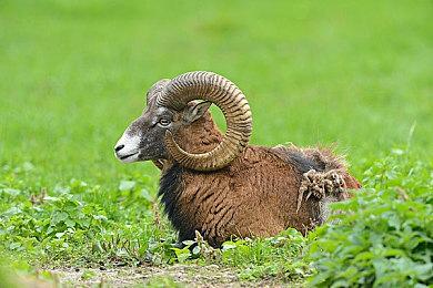 《宇宙机器人》主创：这真的是一个很大很大的游戏